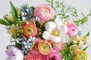 Floristería Cipitria