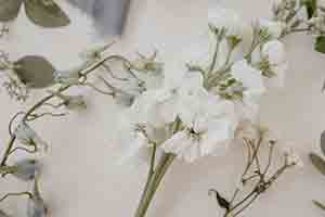 FloristeriaThe Prestige Roses Madrid