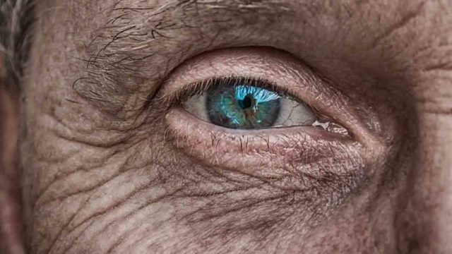 partido tercera edad en accion