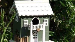 las mejores casas para pájaros