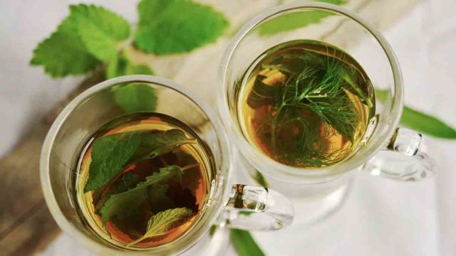 beneficios y propiedades de la menta