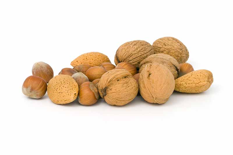 beneficios de las nueces