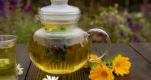 beneficios y propiedades para la salud de la caléndula