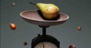 aparatos que intervienen en la nutrición