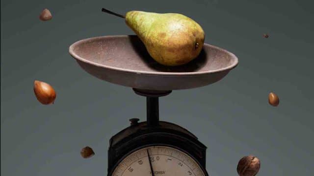 aparatos que intervienen en la nutrición