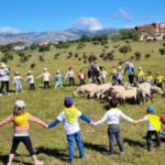 VII Jornadas de Pastoreo y Feria de quesos artesanos en Colmenar