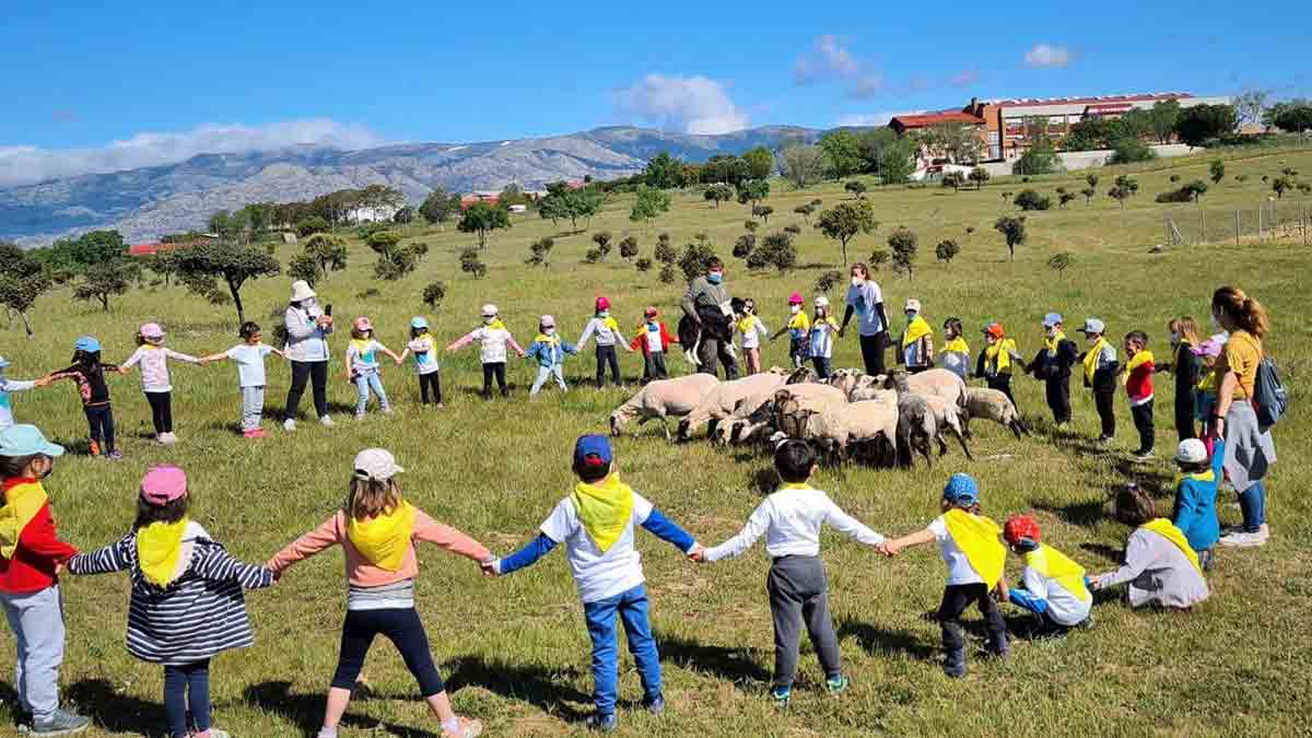 VII Jornadas de Pastoreo y Feria de quesos artesanos en Colmenar