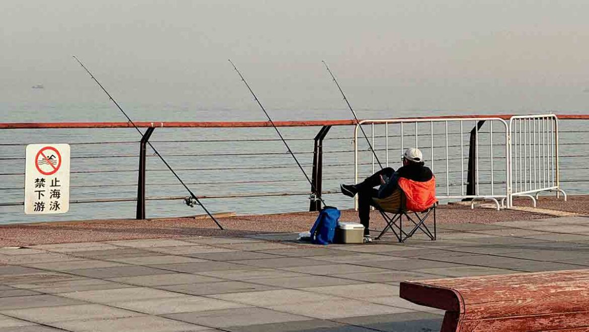 La mejor comida para pescar: los cebos que mejor funcionan