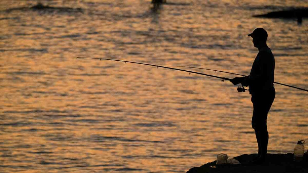 ¿Qué ocurriría si la pesca desaparece? Impactos y escenarios reales