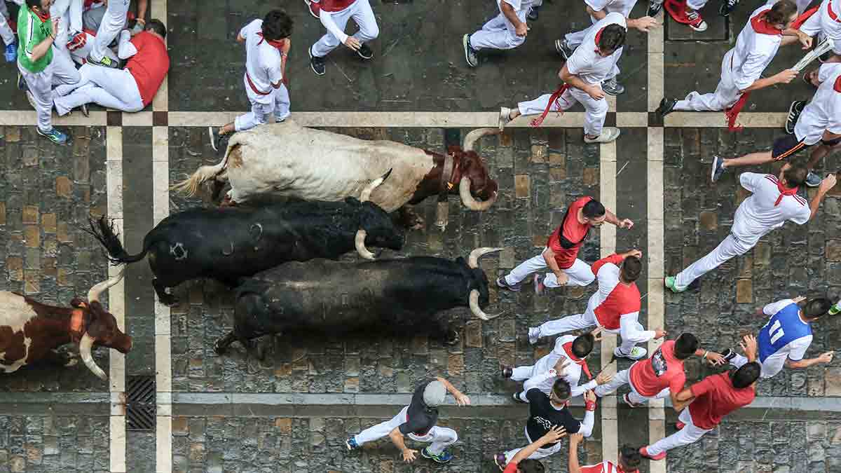 Descubre dónde disfrutar los encierros de Sanse ¡No te lo pierdas!