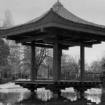 Descubre la belleza natural de El Jardín de la Vega en Alcobendas