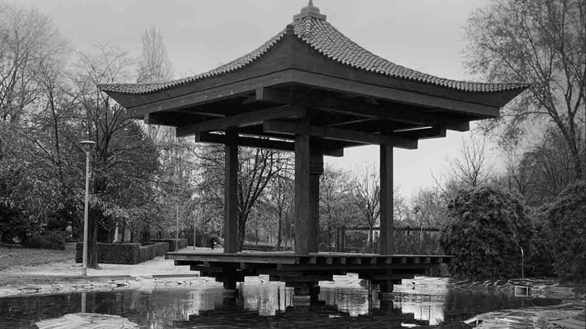 Descubre la belleza natural de El Jardín de la Vega en Alcobendas