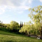 Descubre la belleza natural del Parque de Andalucía en Alcobendas