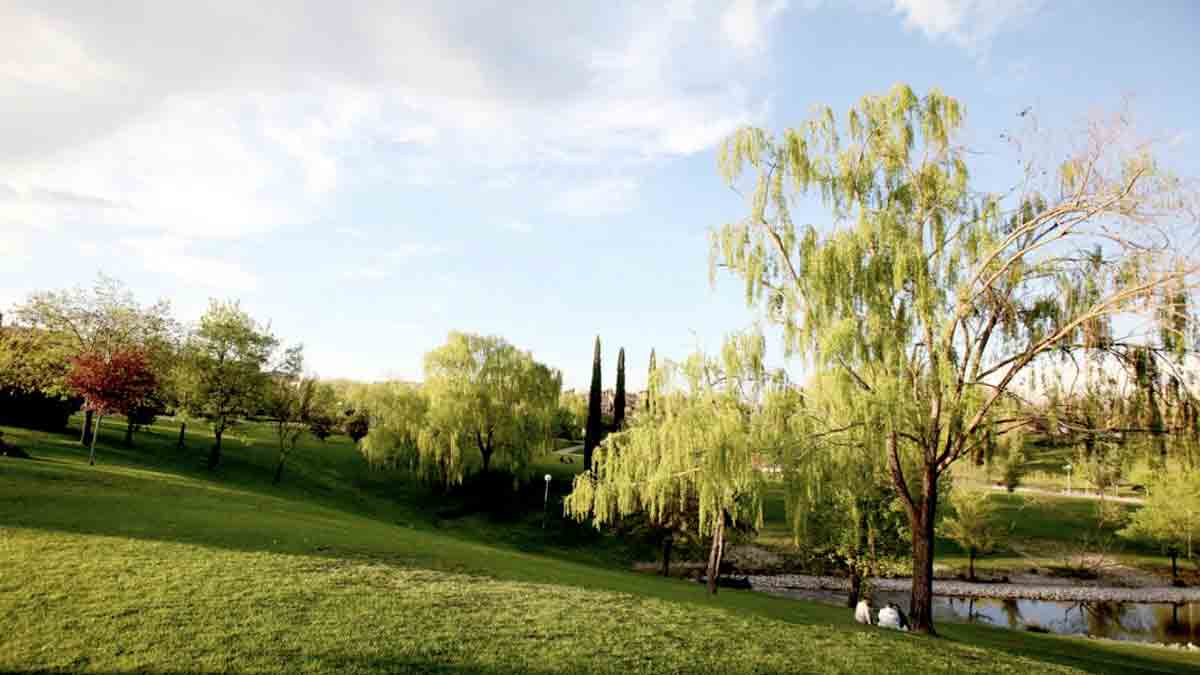 Descubre la belleza natural del Parque de Andalucía en Alcobendas