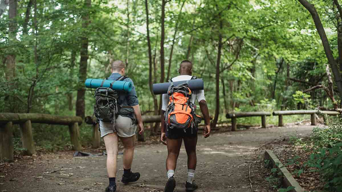 Descubre los pintorescos pueblos en la Sierra Norte de Madrid