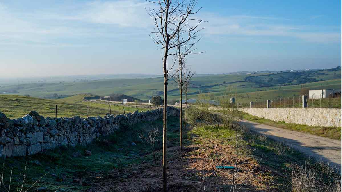 Arco Verde: El pulmón verde que atraviesa Colmenar Viejo