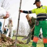 El Parque Empresarial Valdelacasa en Alcobendas se reforesta con otros 53 árboles de la iniciativa ‘Kilómetros sin huella’