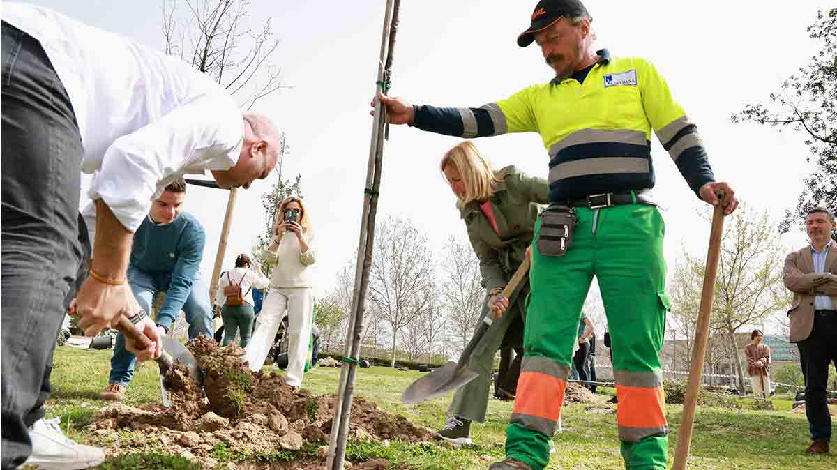 El Parque Empresarial Valdelacasa en Alcobendas se reforesta con otros 53 árboles de la iniciativa ‘Kilómetros sin huella’