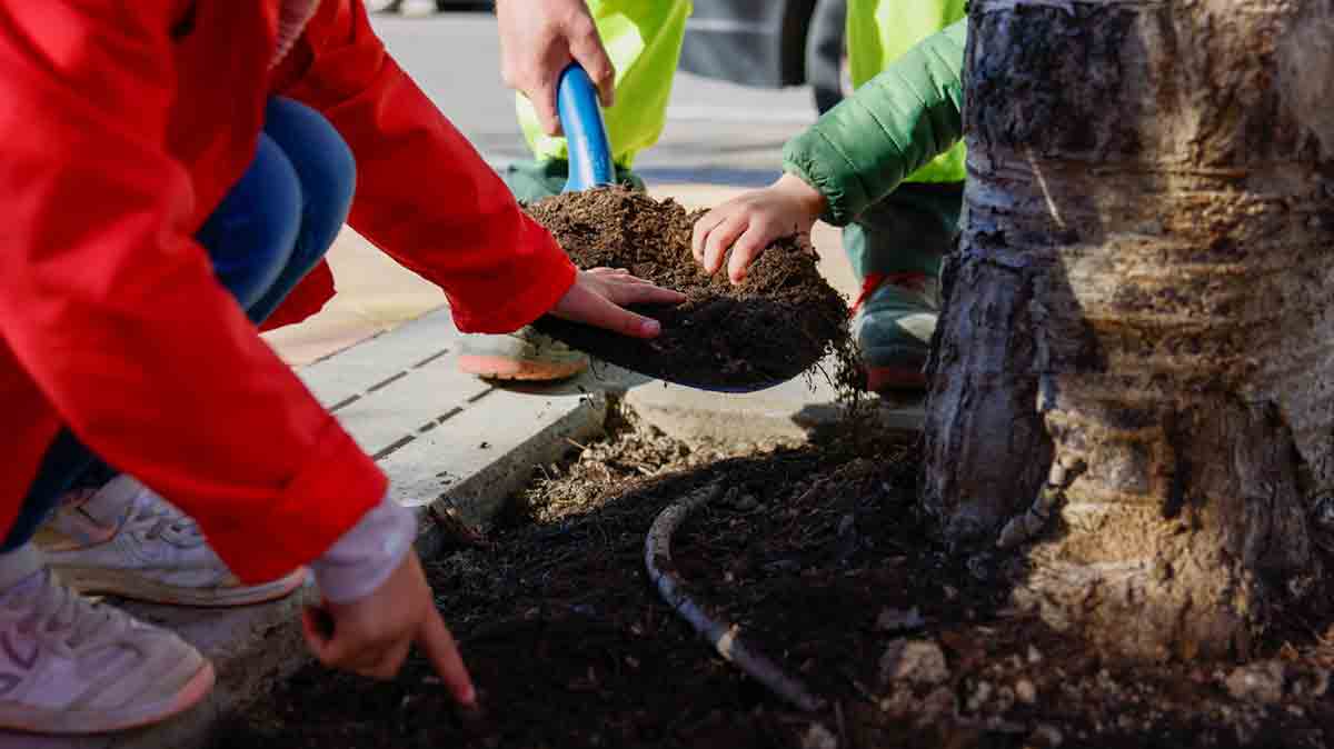 Escolares de Colmenar Viejo transforman alcorques con flores para controlar plagas y embellecer