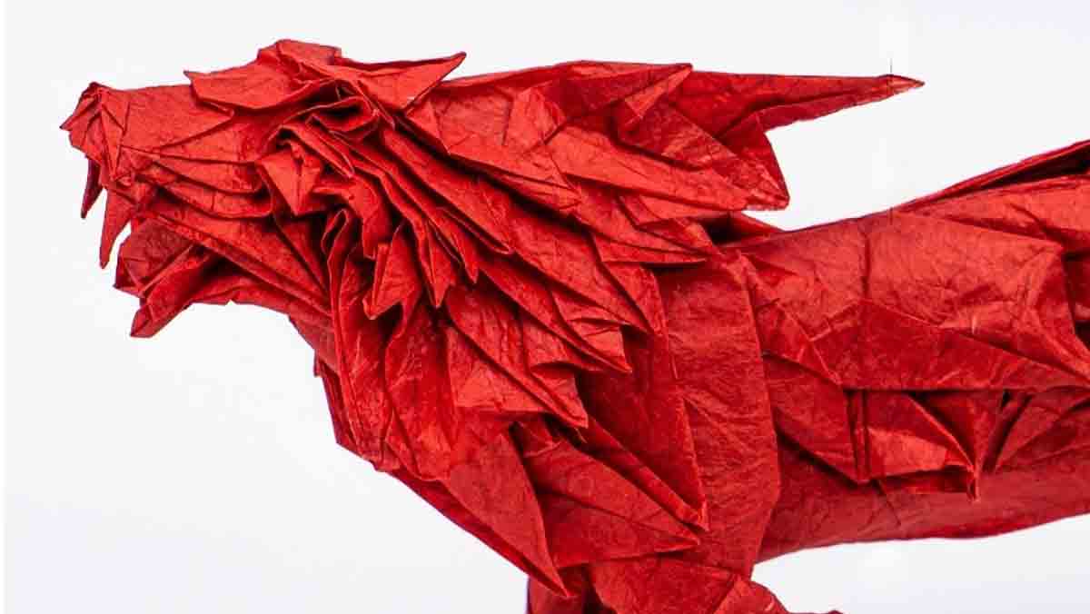 "Origami: De Papel a Obra de Arte" :Una Exposición que Conmemora el X Aniversario de la Sala Baluarte