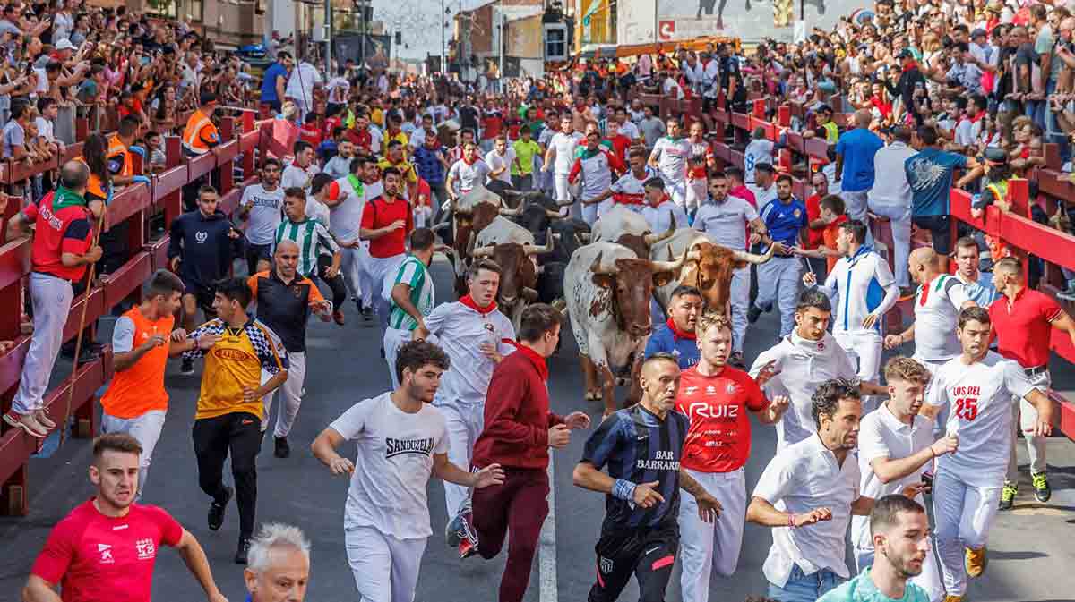 Ultimo encierro en San Sebastián de los Reyes 2024