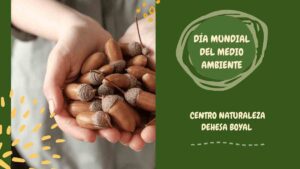 El Centro de Naturaleza Dehesa Boyal de San Sebastián de los Reyes Celebra el Día Mundial del Medio Ambiente