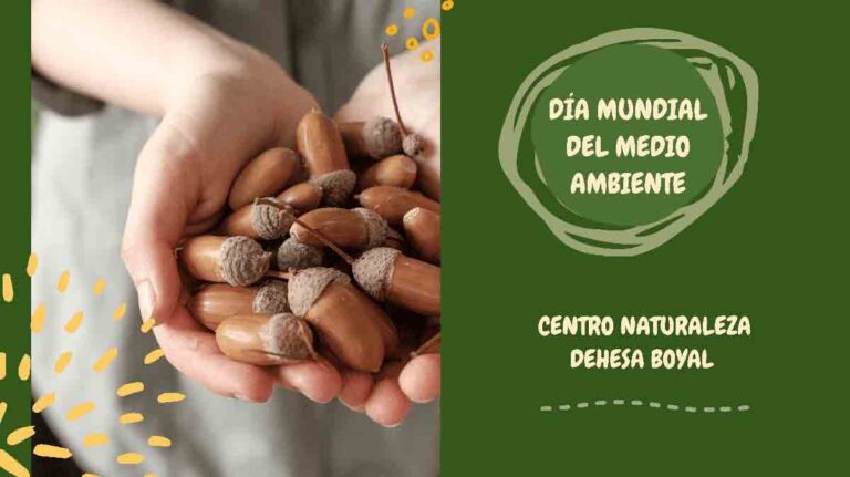 El Centro de Naturaleza Dehesa Boyal de San Sebastián de los Reyes Celebra el Día Mundial del Medio Ambiente