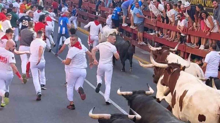 Velocidad, riesgo y destreza en el cuarto encierro de San Sebastián de los Reyes