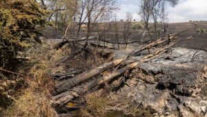 Incendio tres cantos soto de viñuelas