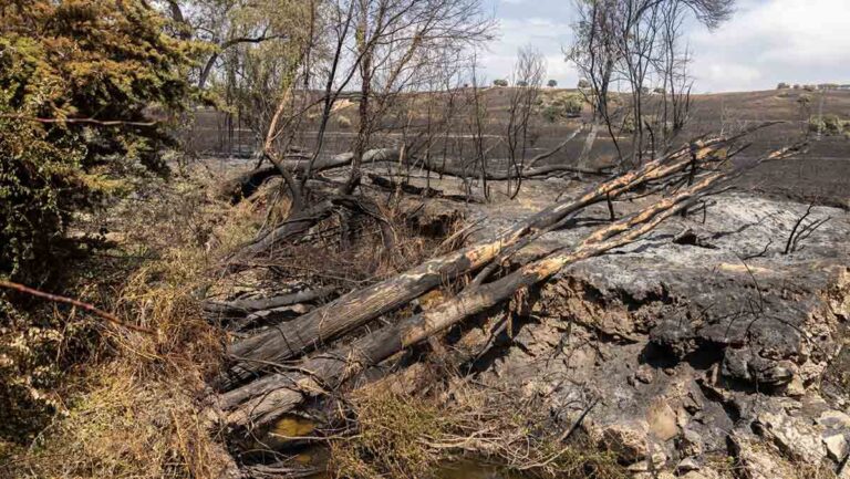 Incendio tres cantos soto de viñuelas