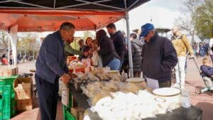 Bailes de Verano y Celebración del "Día del Abuelo" en Colmenar Viejo 7 Colmenar Viejo revive la tradición con pastoreo, trashumancia y feria de quesos
