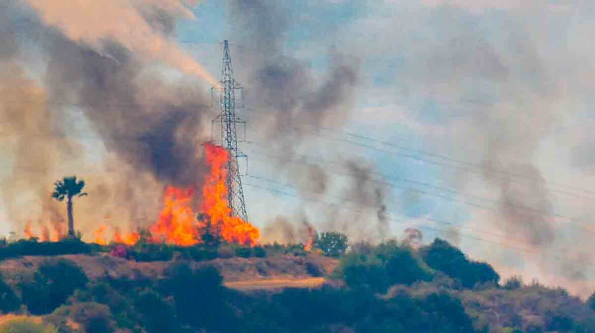Zona del Monte de Viñuelas afectada por el gran incendio forestal de Tres Cantos
